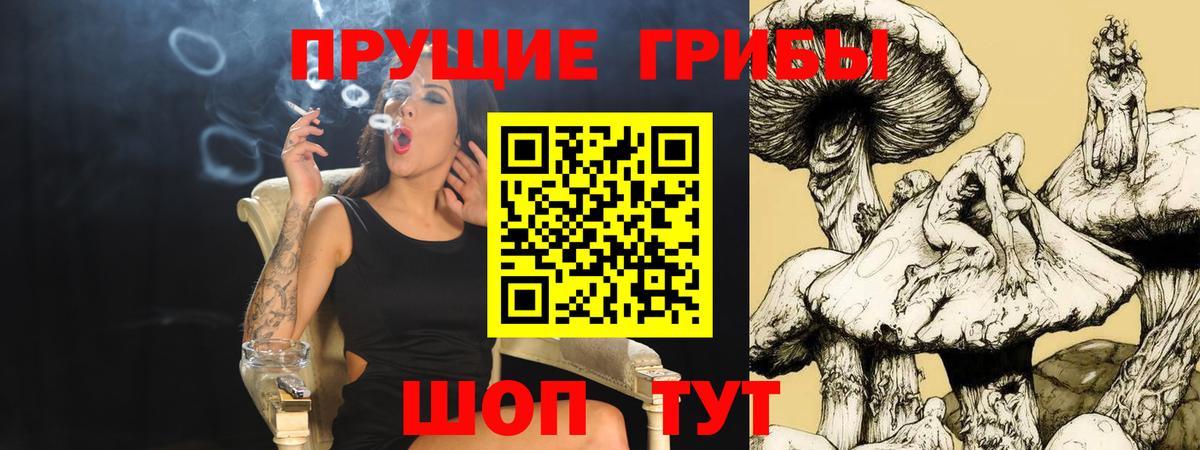 Псилоцибиновые грибы GOLDEN TEACHER Каменск-Уральский