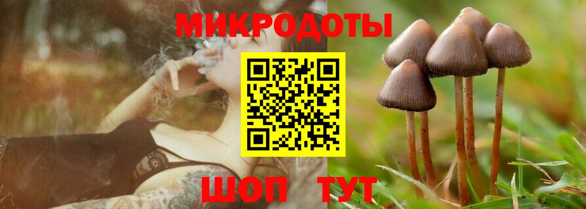 Галлюциногенные грибы MAGIC MUSHROOMS  Вход с VPN  Каменск-Уральский 